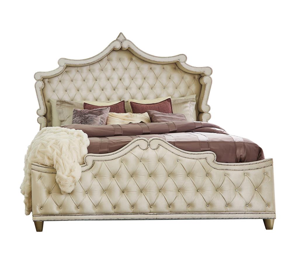 Antonella Upholstered Tufted Queen Bed Ivory/Camel - 223521Q - Luna Furniture - Dallas Store