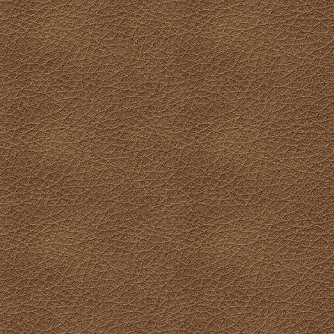 Bolsena Caramel Sofa - 5560338 - Luna Furniture - Dallas Store