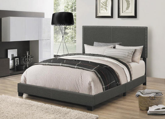 Boyd Queen Upholstered Bed with Nailhead Trim Charcoal - 350061Q - Luna Furniture - Dallas Store