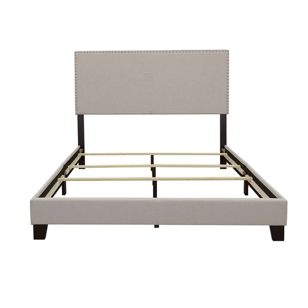 Boyd Queen Upholstered Bed with Nailhead Trim Ivory - 350051Q - Luna Furniture - Dallas Store