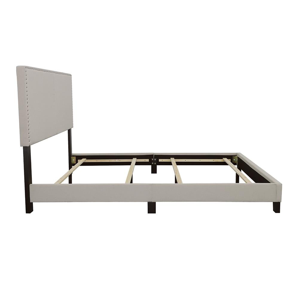 Boyd Queen Upholstered Bed with Nailhead Trim Ivory - 350051Q - Luna Furniture - Dallas Store