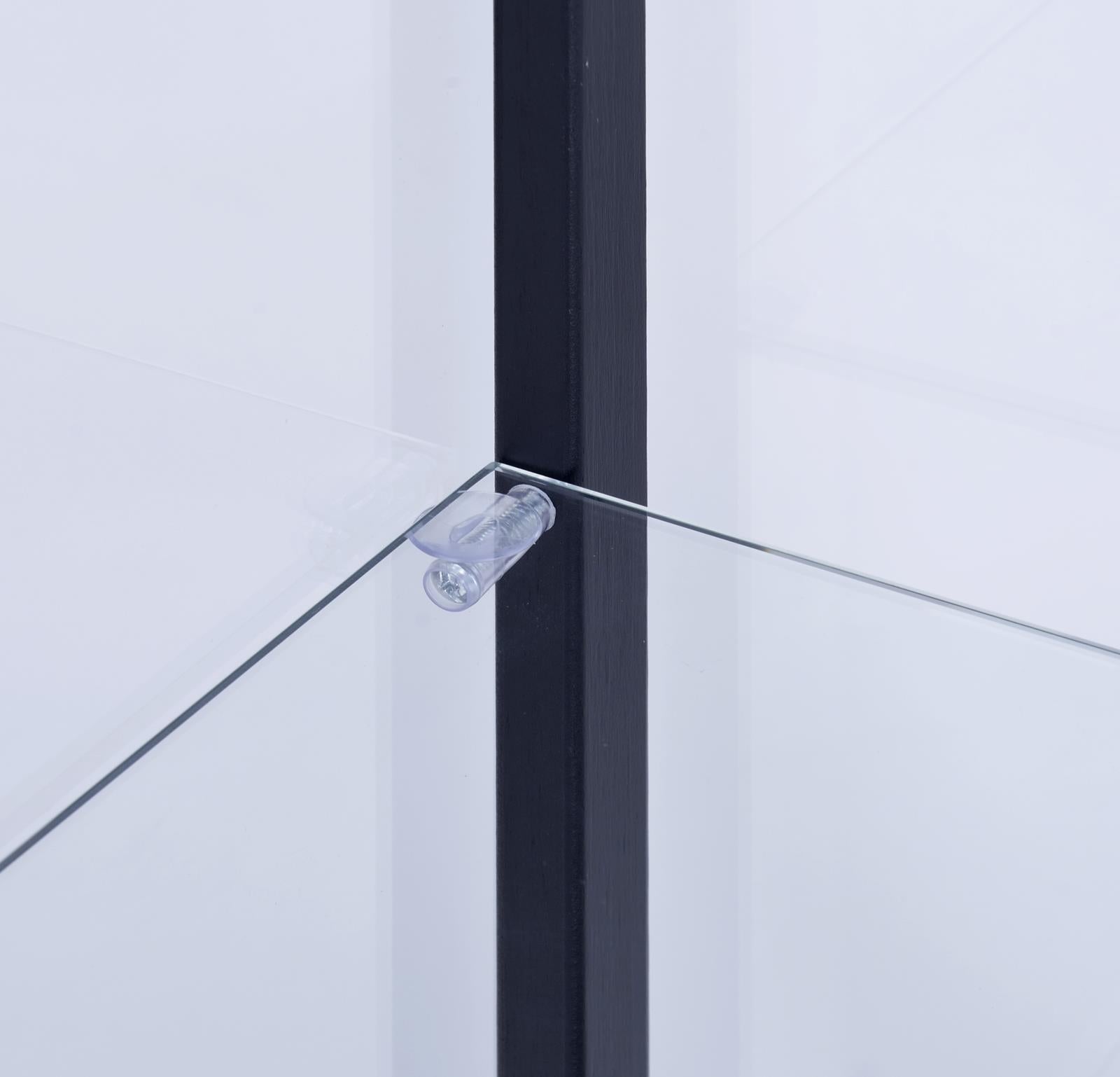 Delphinium Black/Clear 5-Shelf Glass Curio Cabinet - 950170 - Luna Furniture - Dallas Store