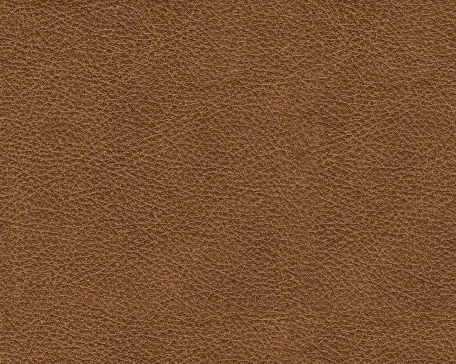 Emilia Caramel Leather 7-Piece Sectional - SET | 3090164 | 3090165 | 3090177 | 3090146 | 3090146 | 3090146 | 3090146 - Luna Furniture - Dallas Store