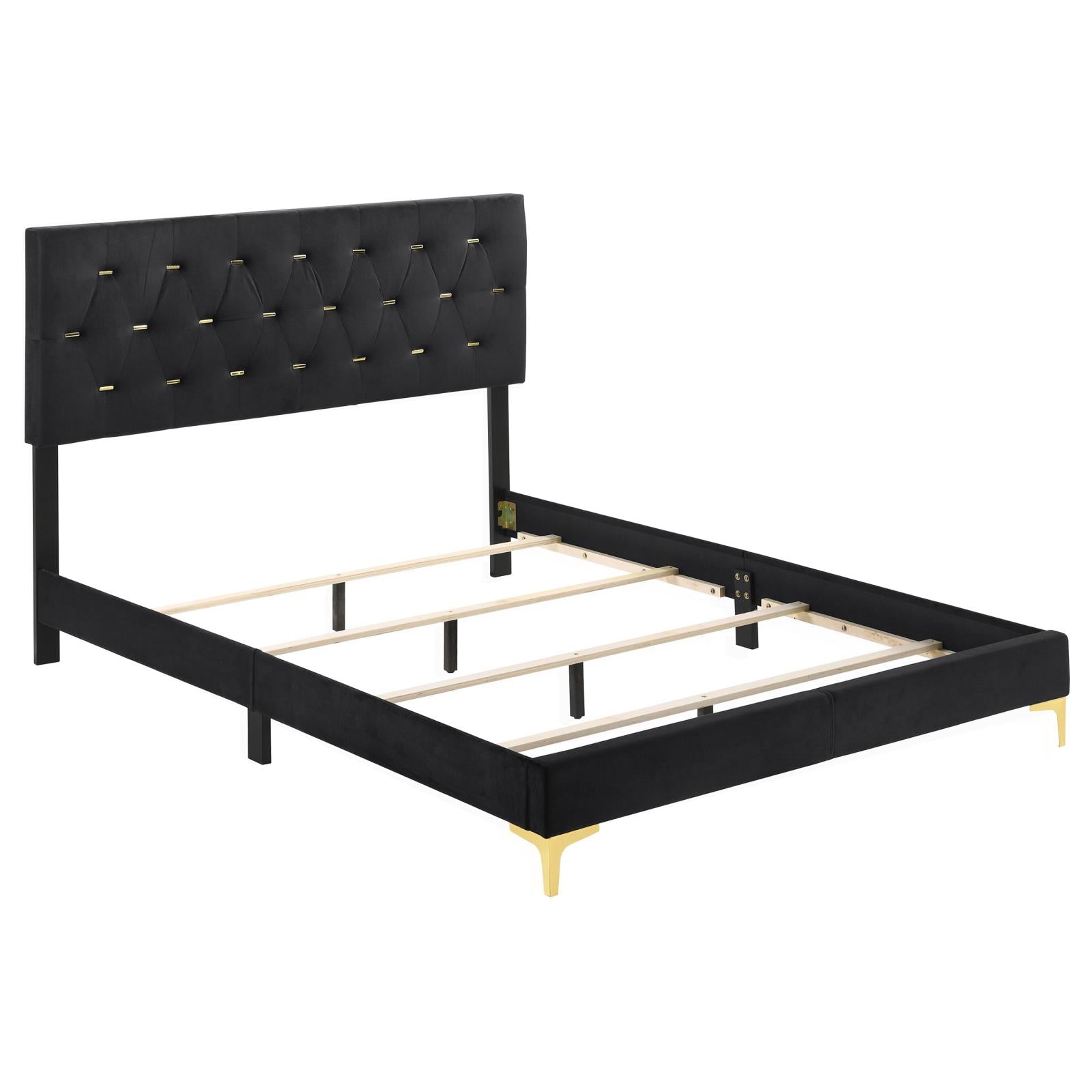 Kendall Tufted Panel Eastern King Bed Black/Gold - 224451KE - Luna Furniture - Dallas Store