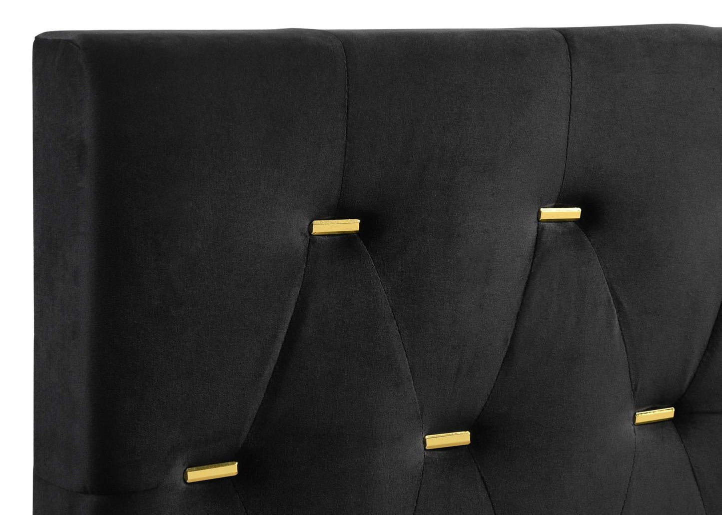 Kendall Tufted Panel Queen Bed Black/Gold - 224451Q - Luna Furniture - Dallas Store