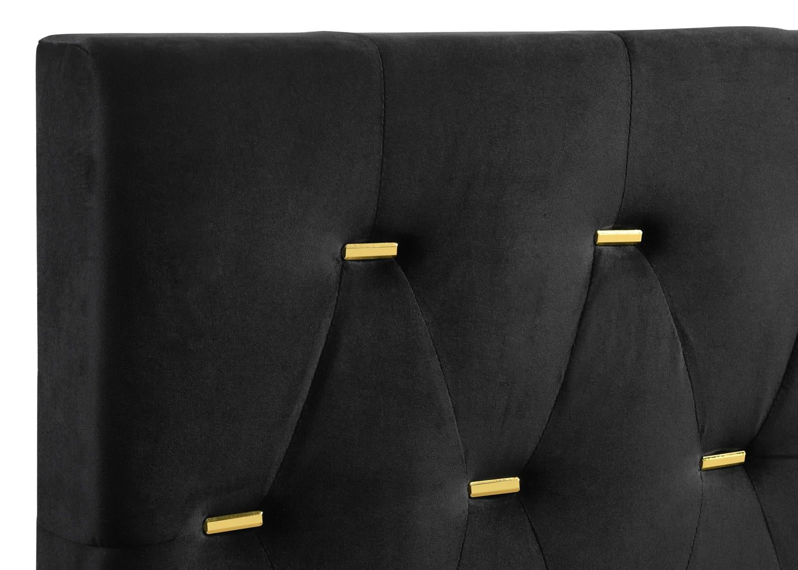 Kendall Tufted Panel Queen Bed Black/Gold - 224451Q - Luna Furniture - Dallas Store