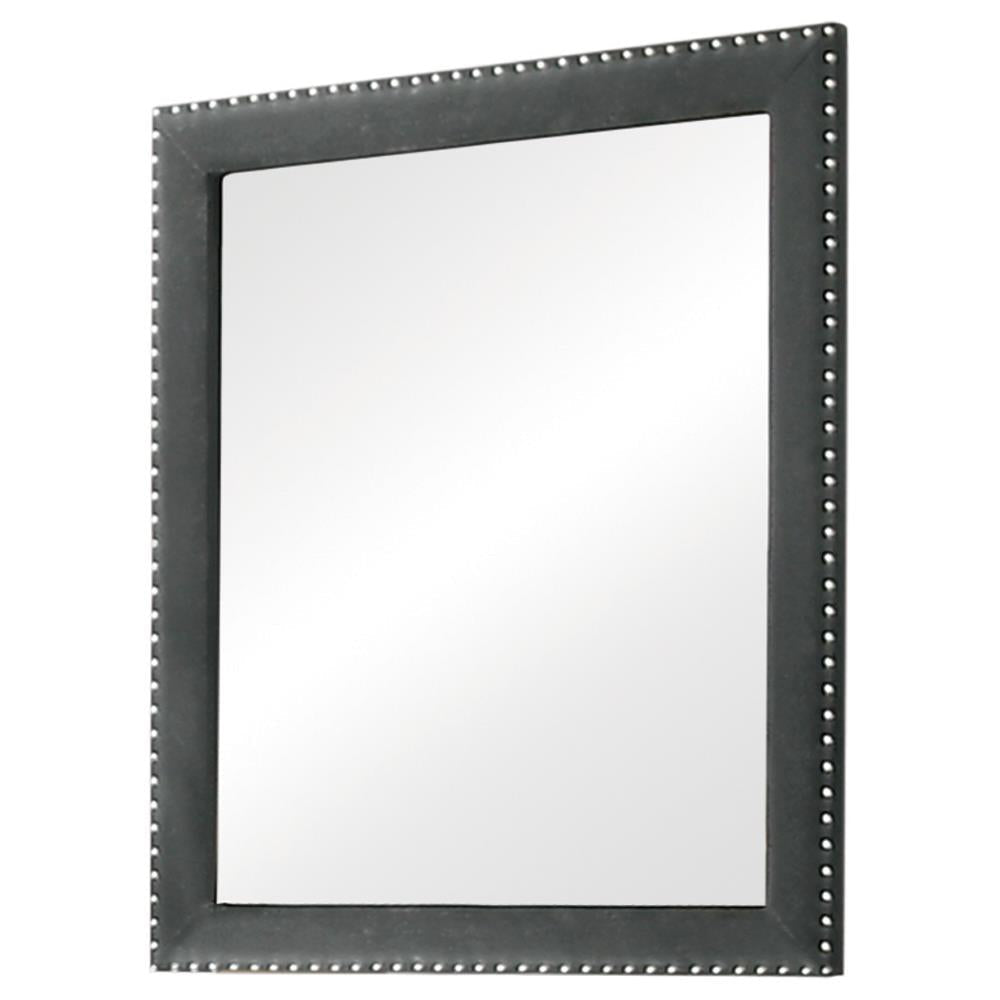 Melody Gray Rectangular Upholstered Dresser Mirror - 223384 - Luna Furniture - Dallas Store