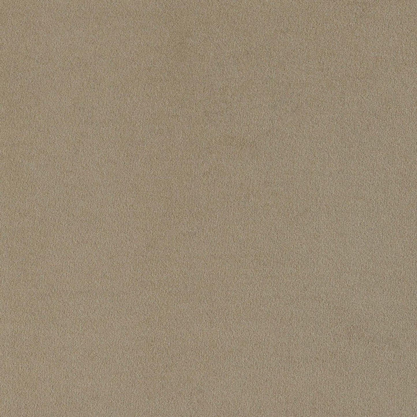 Rainn Upholstered Tight Back Sofa Latte - 509171 - Luna Furniture - Dallas Store