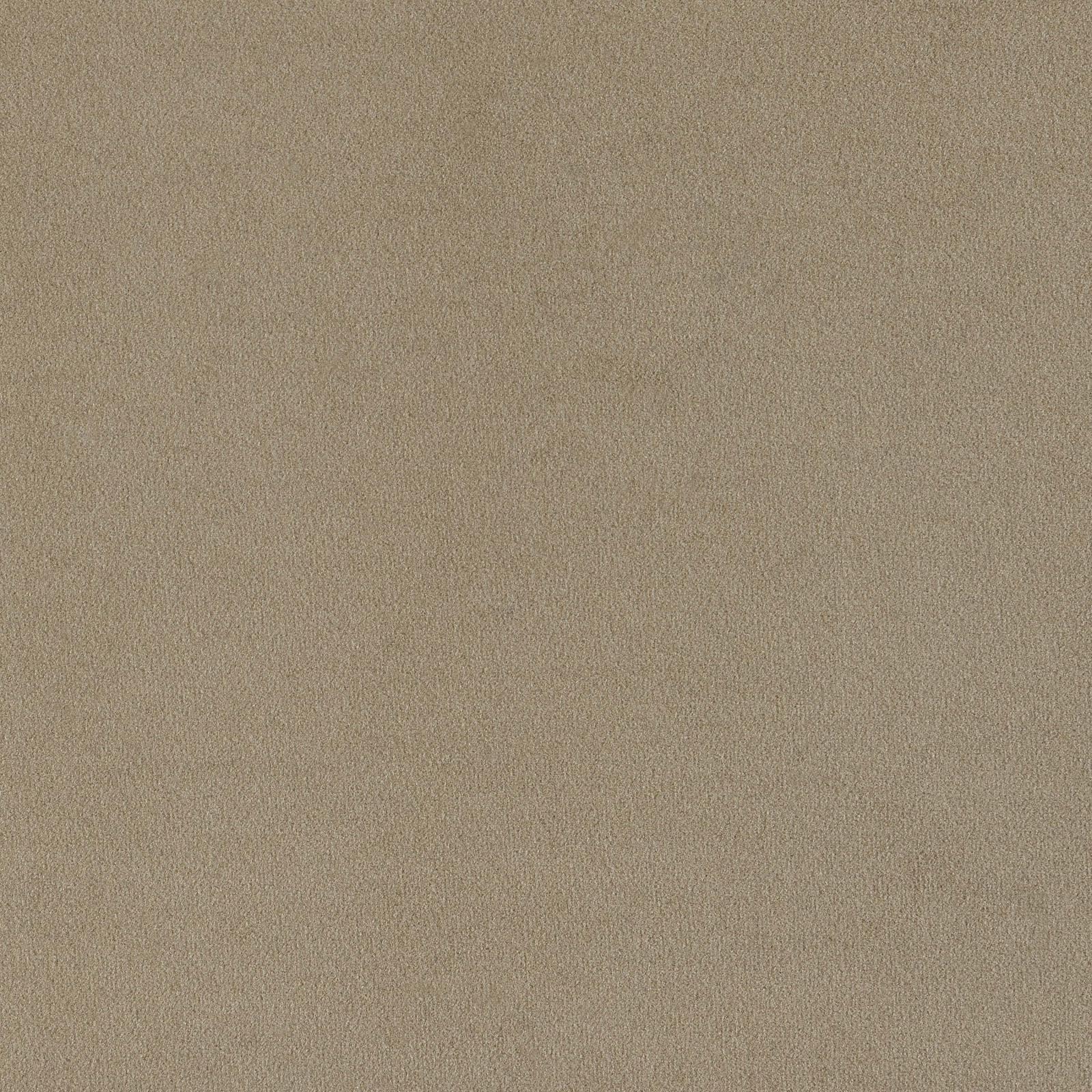 Rainn Upholstered Tight Back Sofa Latte - 509171 - Luna Furniture - Dallas Store