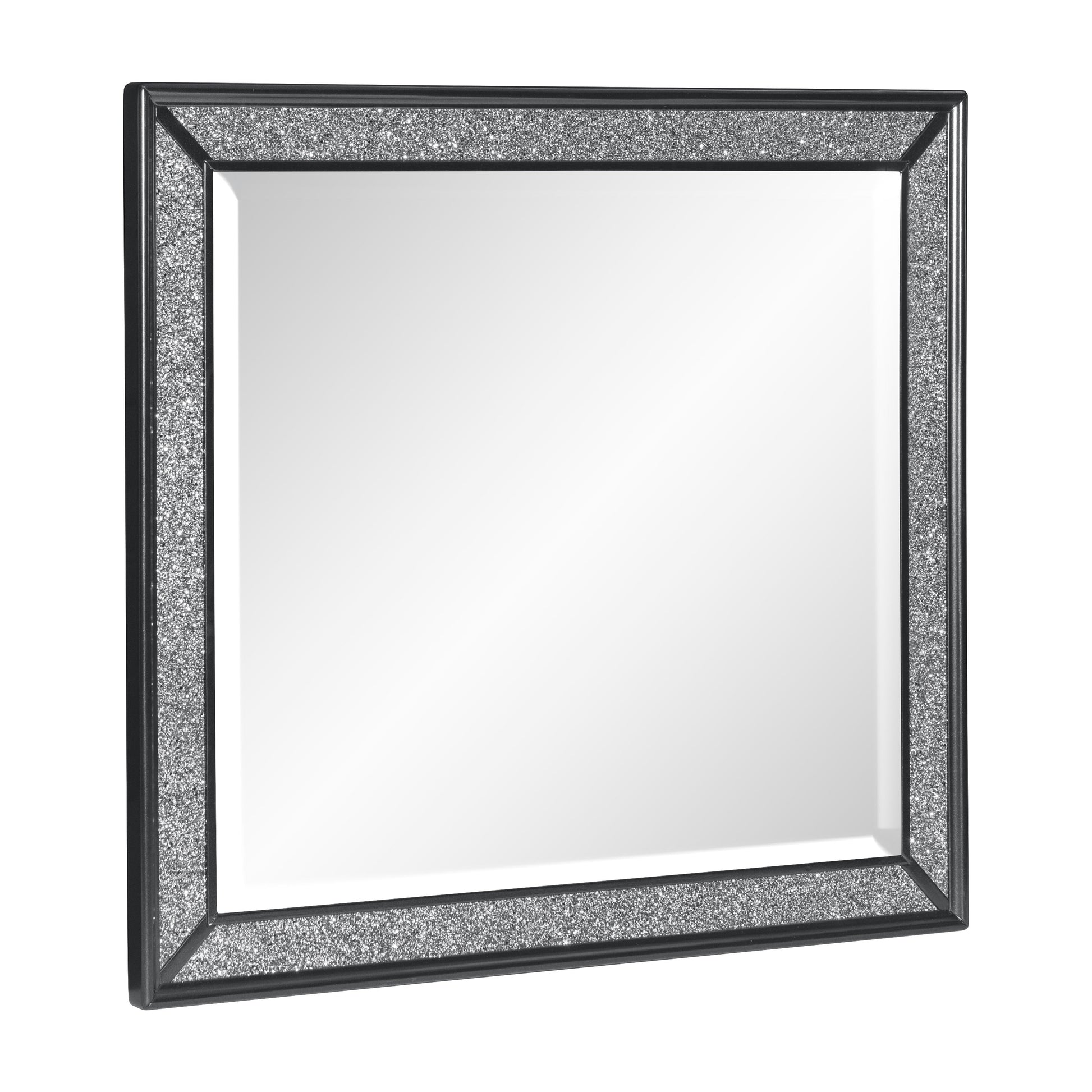 Salon Black Mirror (Mirror Only) - 1572BK-6 - Luna Furniture - Dallas Store