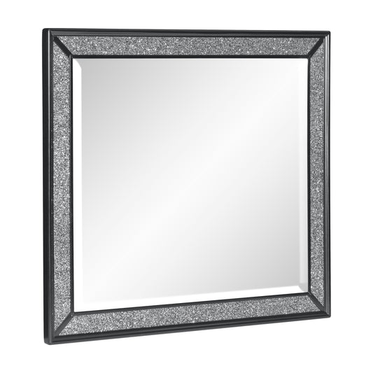 Salon Black Mirror (Mirror Only) - 1572BK-6 - Luna Furniture - Dallas Store