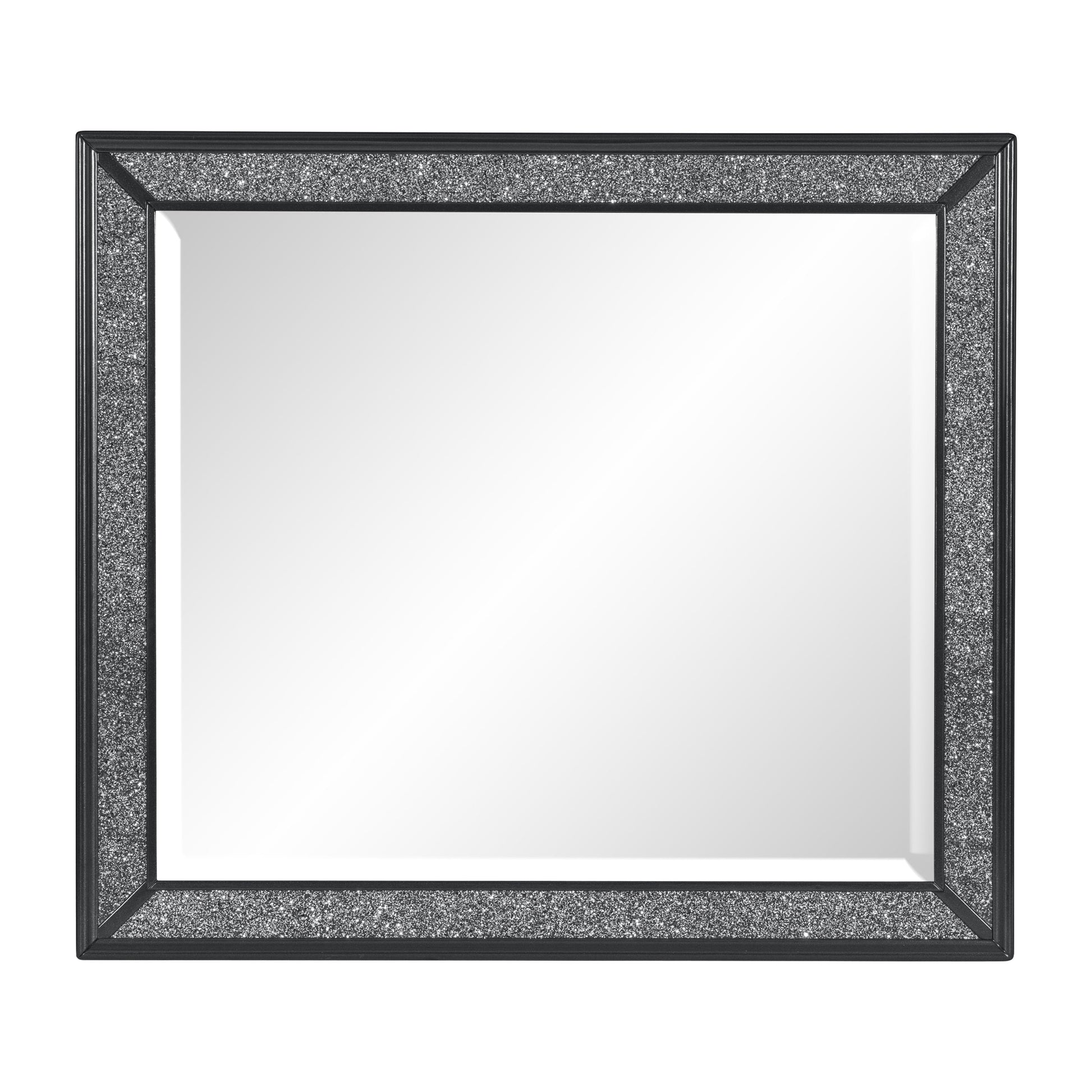 Salon Black Mirror (Mirror Only) - 1572BK-6 - Luna Furniture - Dallas Store