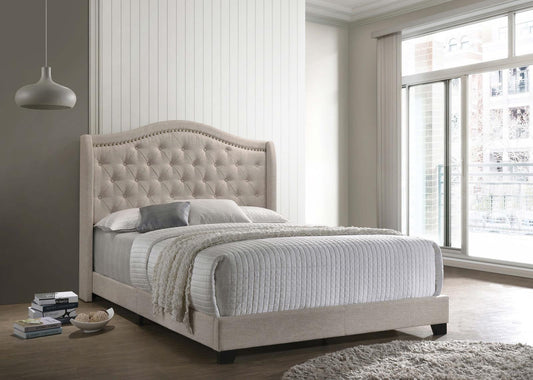 Sonoma Camel Back Eastern King Bed Beige - 310073KE - Luna Furniture - Dallas Store